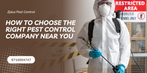 How to Choose the Right Pest Control Company Near You