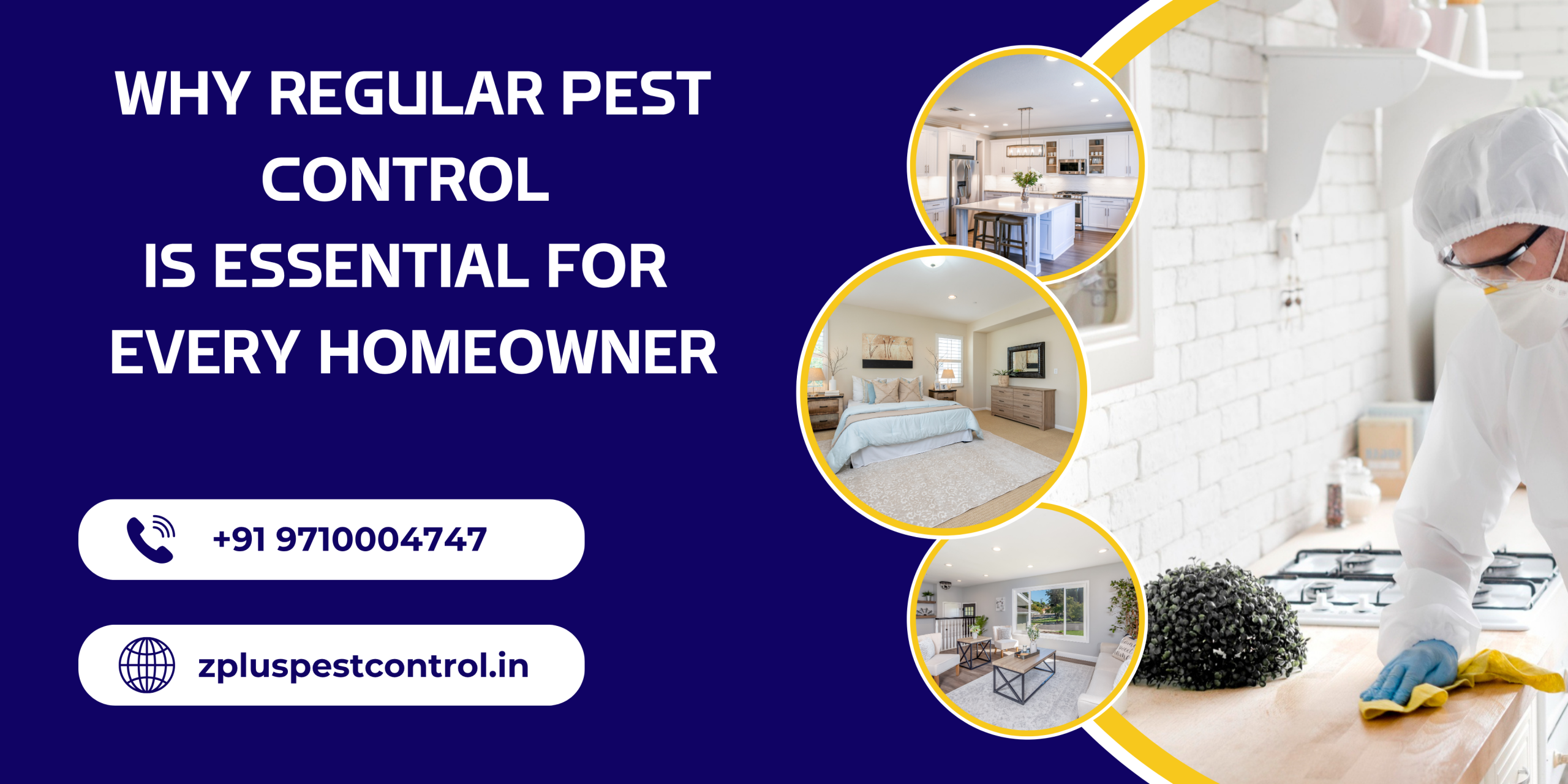 Why Regular Pest Control is Essential for Every Homeowner - Zplus Pest Control
